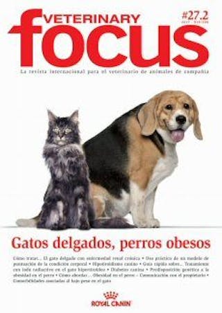 Gatos delgados, perros obesos